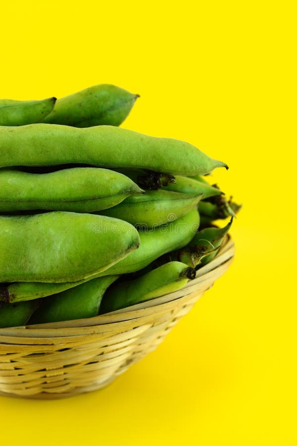 Broad bean pods and beans stock image. Image of broad 29053897