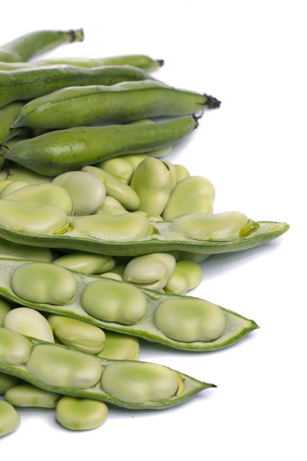 Broad beans