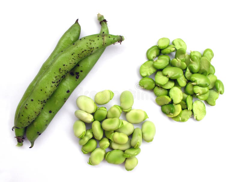 Broad beans