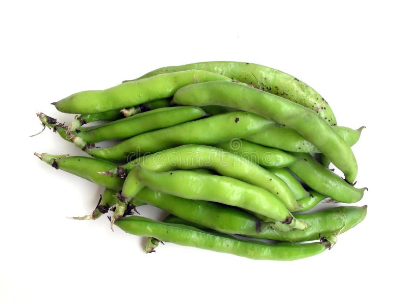 Broad beans