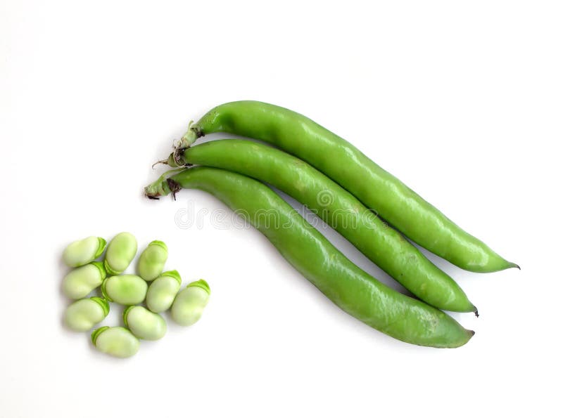 Broad beans