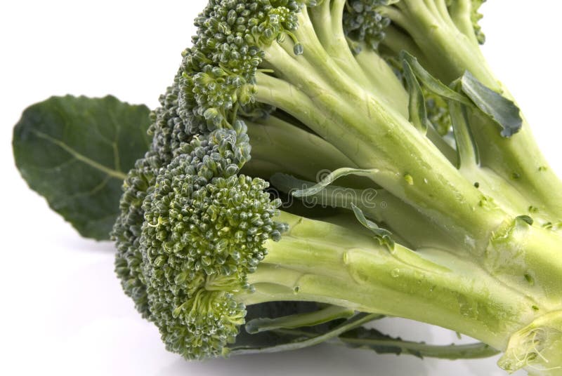 Broccoli stock photo. Image of flower, vegetable, stem 1285256