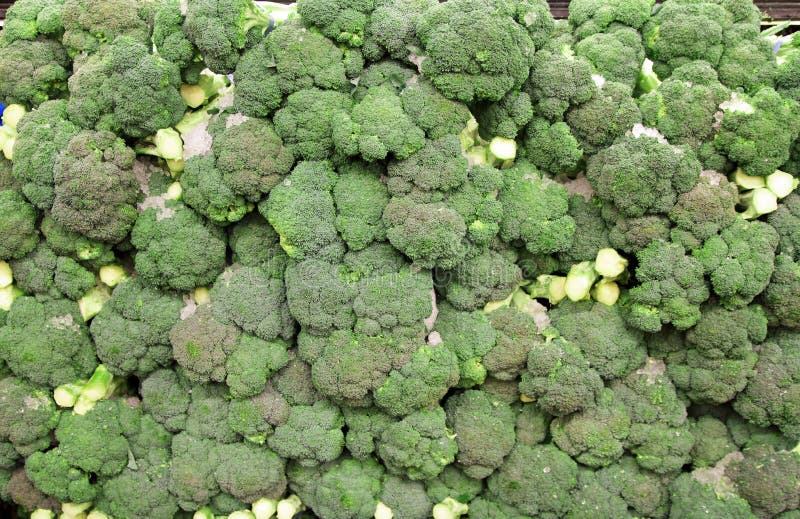 Broccoli stock image. Image of stems, grocer, fresh, vitamins 27266479