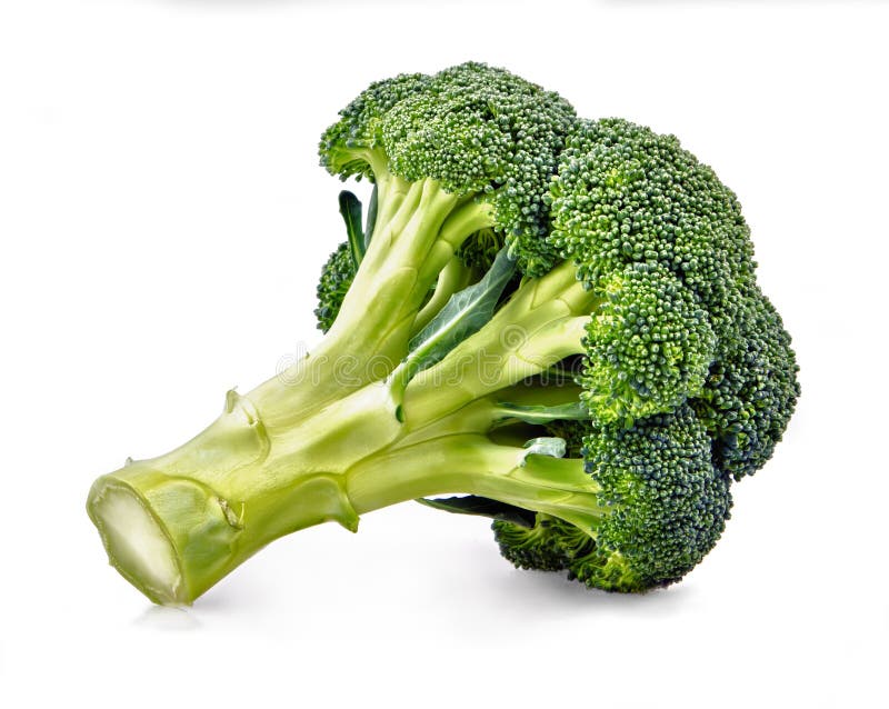 Fresh green broccoli on white background.