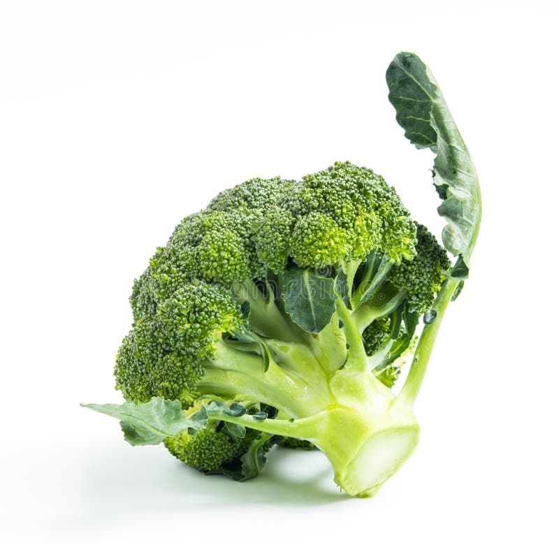 Broccoli