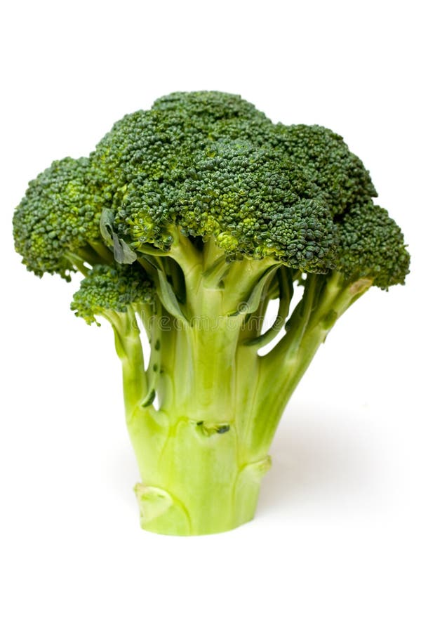 broccoli broccoli