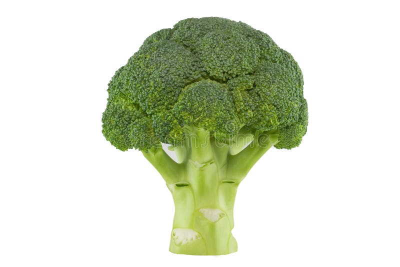 Perfect broccoli isolated on white