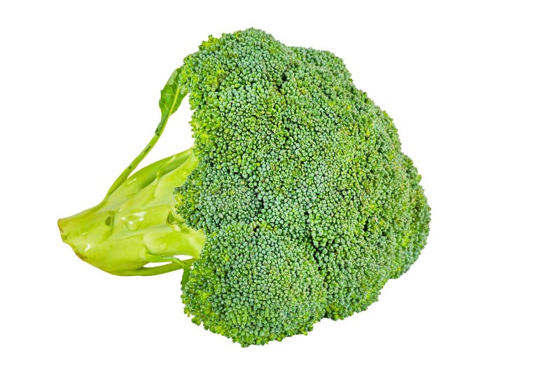 Broccoli Isolate. Broccoli Cabbage Isolated on White Background Stock