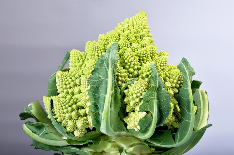Broccoli and Cauliflower IV Stock Image Image of food, diet 137003143