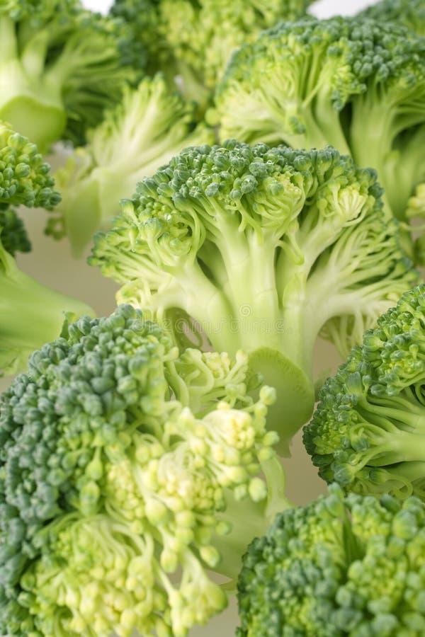 Fresh Broccoli stem stock image. Image of object, broccoli 10542079