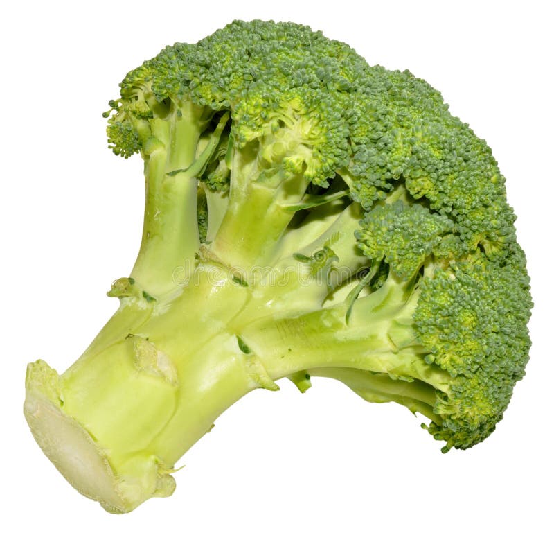 Broccoli Crown stock image. Image of white, uncooked 45746269
