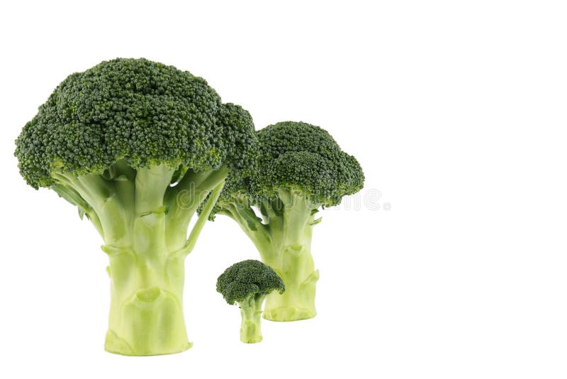 Broccoli family stock photo. Image of lovely, garnish 13849138