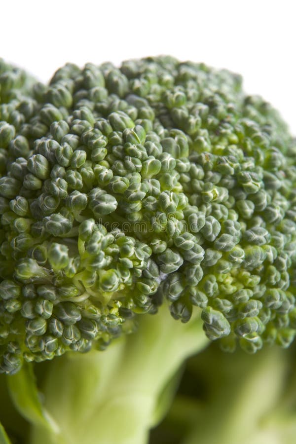Broccoli floret stock image. Image of ingredient, colors 35587023