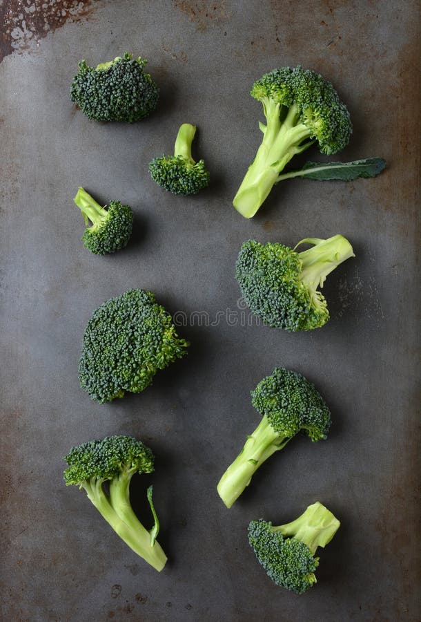 Broccoli Plant stock photo. Image of stem, organic, brassica 17656214