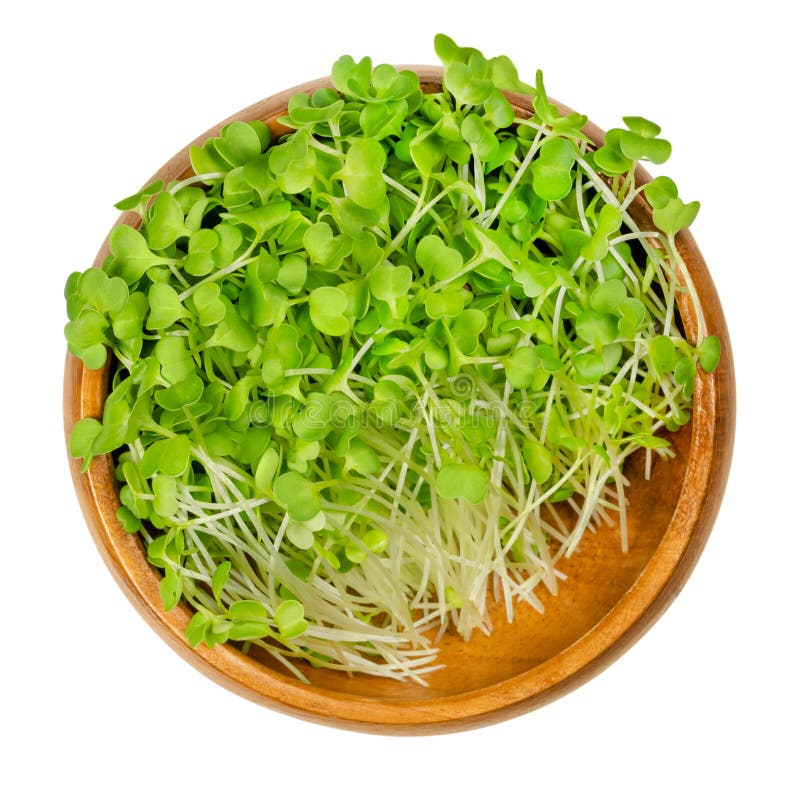 Broccoli germogli di giovani piante e microverde in una ciotola di legno