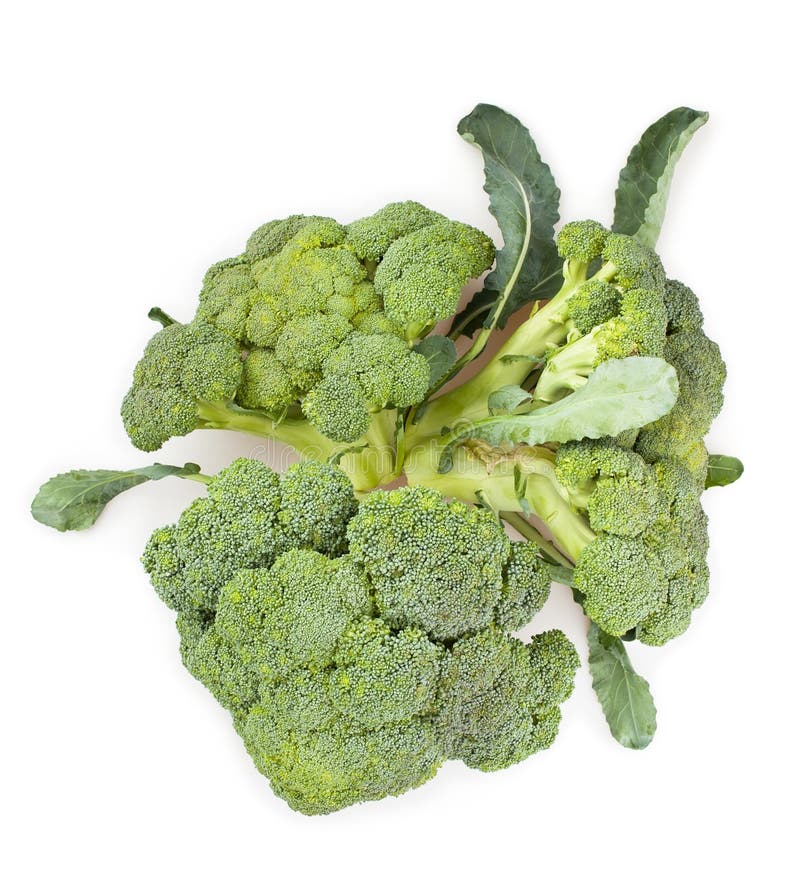Broccoli group stock photo. Image of stem, florets, leaves 34296846