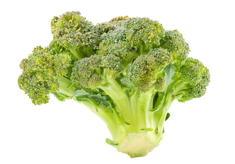 Broccoli isolated