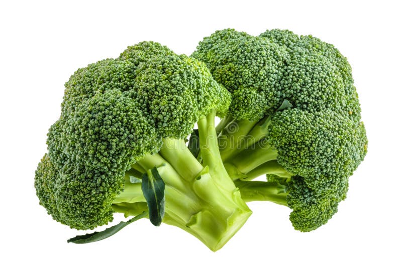 Broccoli isolati su bianco senza ombra