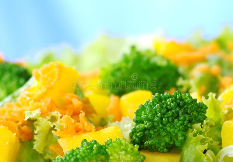BroccoliMangoCarrotLettuce Salad Stock Photo Image of fruit, food