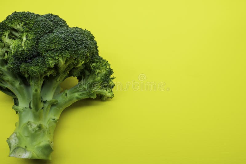 Broccoli Flower, is a Plant Well Known for Its Great Properties and