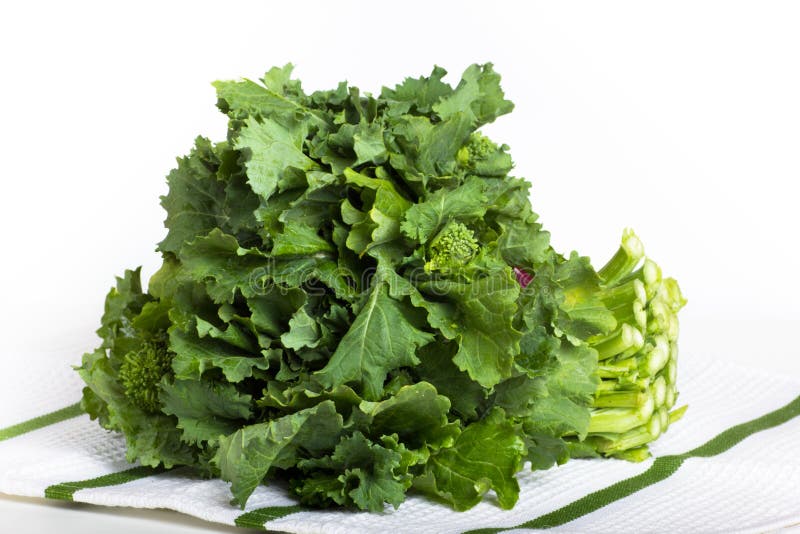Brócoli verduras sobre el blanco verde tela.