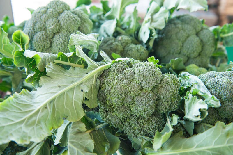 Export della Puglia nel mondo cresce e vale circa 10 miliardi di euro: Germania e States i partner principali