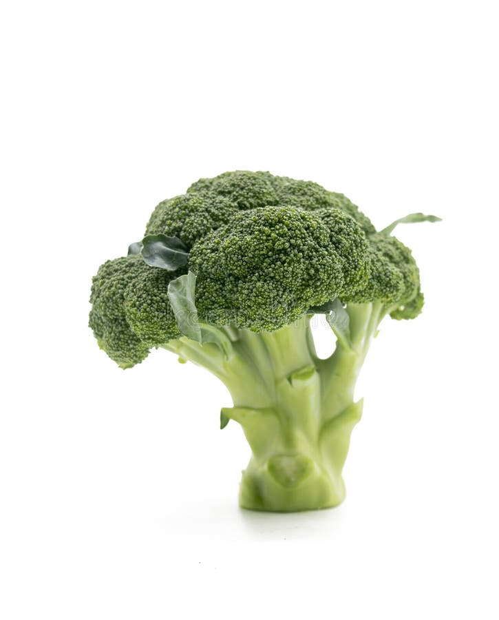 Broccoli Single Pieces Isolated on White Background Stock Photo - Image ...