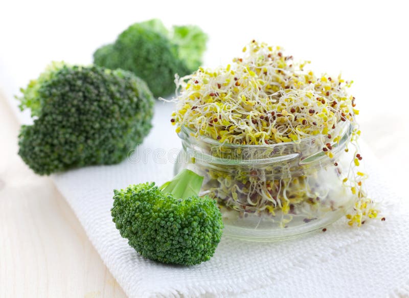 Broccoli sprouts