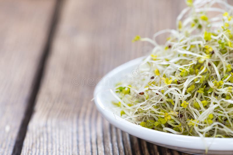 Broccoli Sprouts stock image. Image of closeup, green 52715815