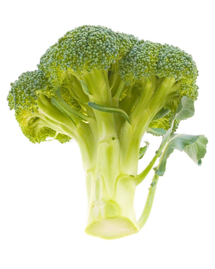 Broccoli Stalk Stock Images Image 35578224