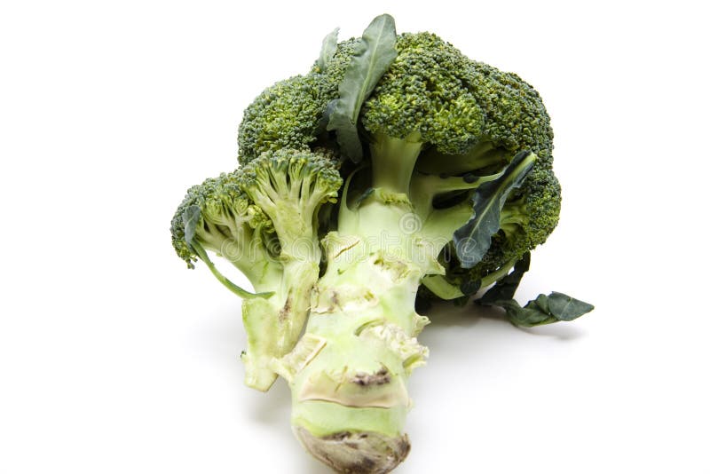 Broccoli stem close up stock image. Image of magnification 10763789