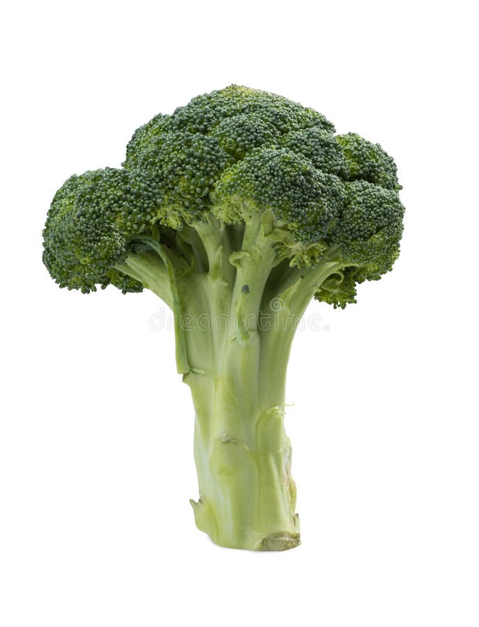 Broccoli stem close up stock image. Image of magnification 10763789