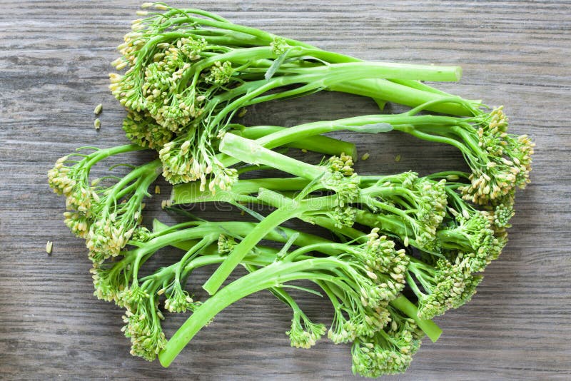 Broccoli stems stock photo. Image of food, broccolini 45357064