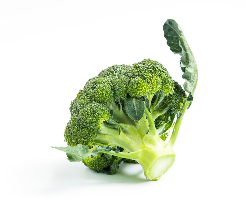 Broccoli vegetable stock photo. Image of broccoli, health 27885826