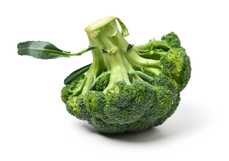 Broccoli vegetable stock image. Image of branch, group 141439925