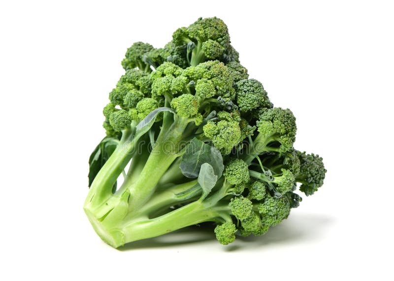 Broccoli vegetable stock image. Image of piece, branch 148219989