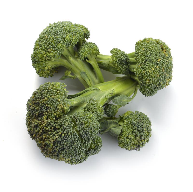 Broccoli vegetable stock photo. Image of white, brocolli 32621894