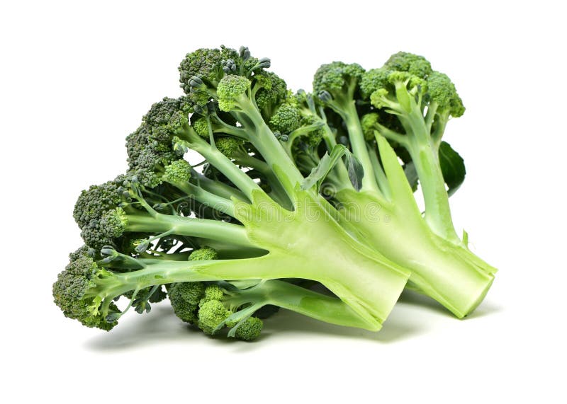 Broccoli vegetable stock image. Image of fresh, freshness 148674329