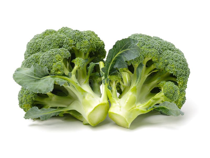 Broccoli vegetable stock image. Image of ripe, freshness 159561683
