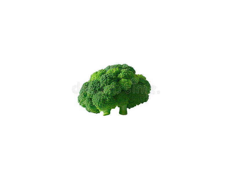 Broccoli verdi di ortaggi freschi. Prodotto sano per uno stile di vita sano. Vegetarianesimo. Diet. Mangiare sano illustrazione di stock