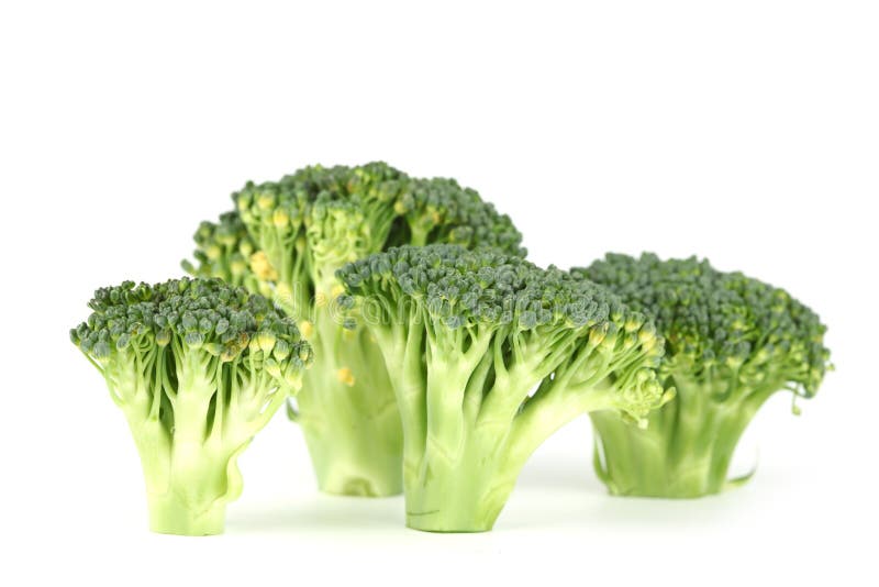 Broccoli on white stock photo. Image of culinary, lunch 19206826