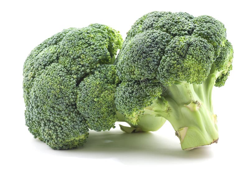 Broccoli on White. Broccoli florets on white background stock image