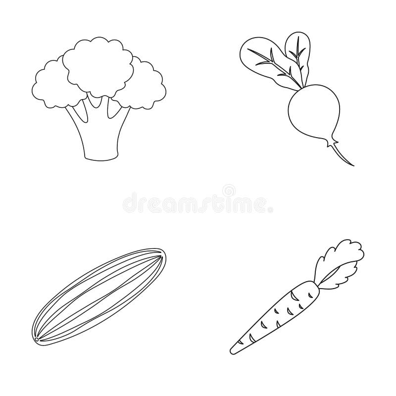 Broccolikool, radijs, komkommer, wortelen met bovenkanten Groenten geplaatst inzamelingspictogrammen in de vector van de overzich royalty-vrije illustratie Broccolikool, radijs, komkommer, wortelen met bovenkanten Groenten geplaatst inzamelingspictogrammen in de vector van de overzich royalty-vrije illustratie
