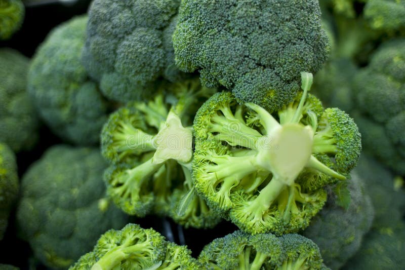 Fresh green broccoli in market stand. Fresh green broccoli in market stand