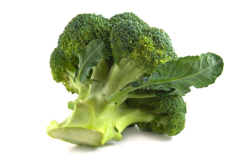 Broccolo immagini stock Broccolo immagini stock