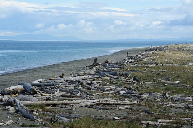 Dungeness Spit, the longest natural sand spit and wildlife reserve in washington, United States. Dungeness Spit, the longest natural sand spit and wildlife reserve in washington, United States.