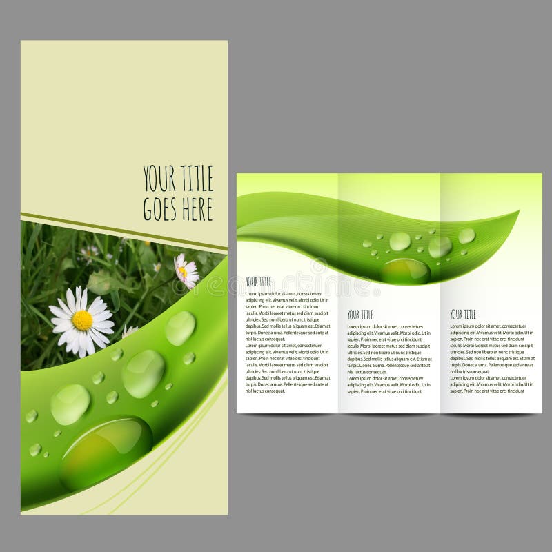 Brochure Design Template with Nature Picture Stock Vector