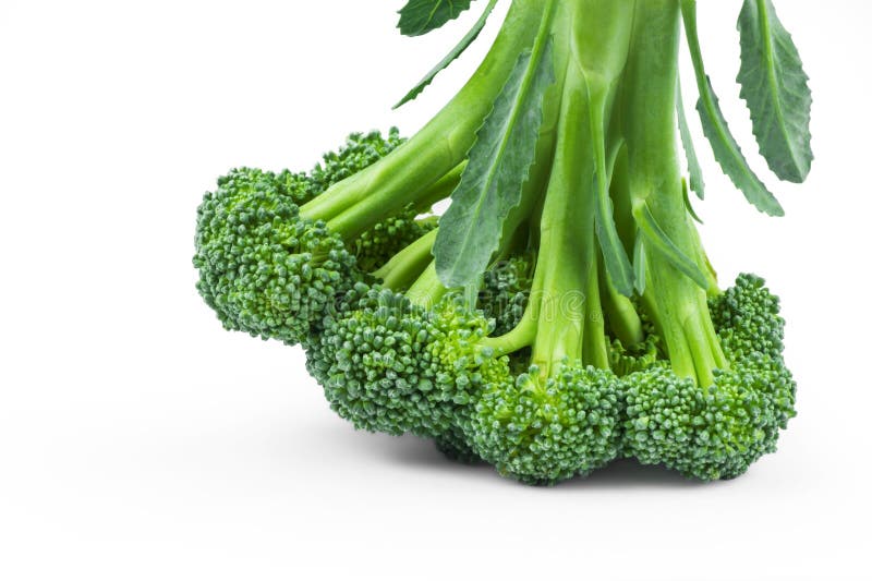 Brocoli cru organique vert sain d'isolement au-dessus du fond blanc Les fleurons préparent pour la cuisson nourriture fraîche de photo libre de droits Brocoli cru organique vert sain d'isolement au-dessus du fond blanc Les fleurons préparent pour la cuisson nourriture fraîche de photo libre de droits