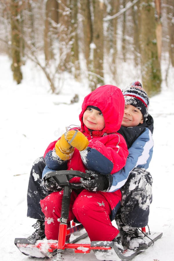 Broers in sleighes stock fotografie Broers in sleighes stock fotografie