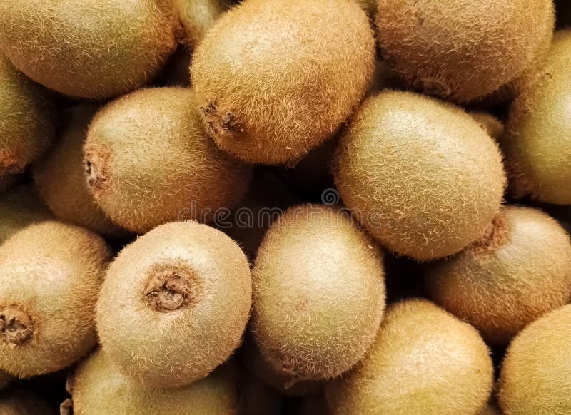 Brogująca grupa kiwi lub Chiński agrest, jadalna jagoda od Actinidia genus obraz stock Brogująca grupa kiwi lub Chiński agrest, jadalna jagoda od Actinidia genus obraz stock